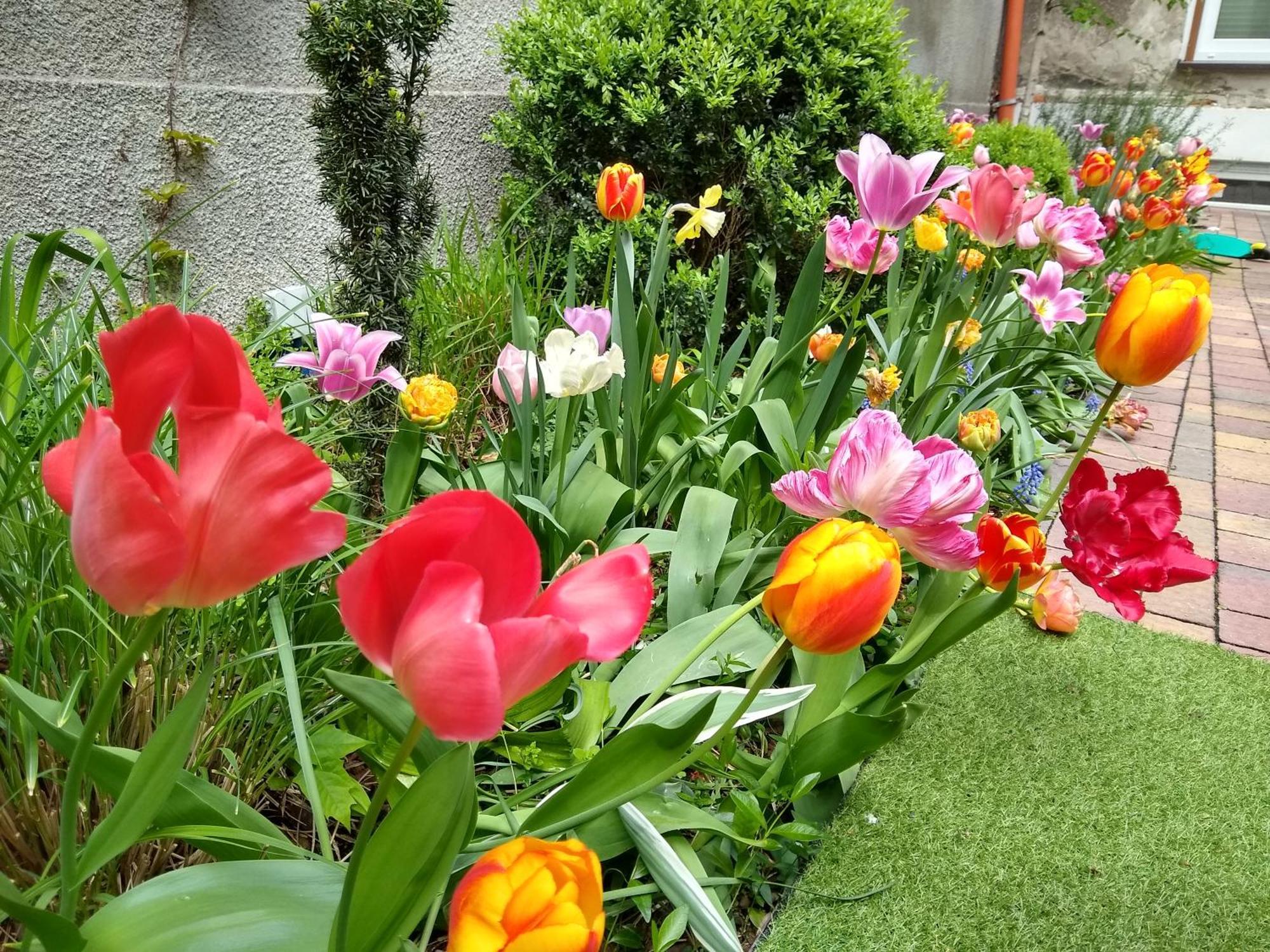 Poezja Apartment Lublin Ngoại thất bức ảnh